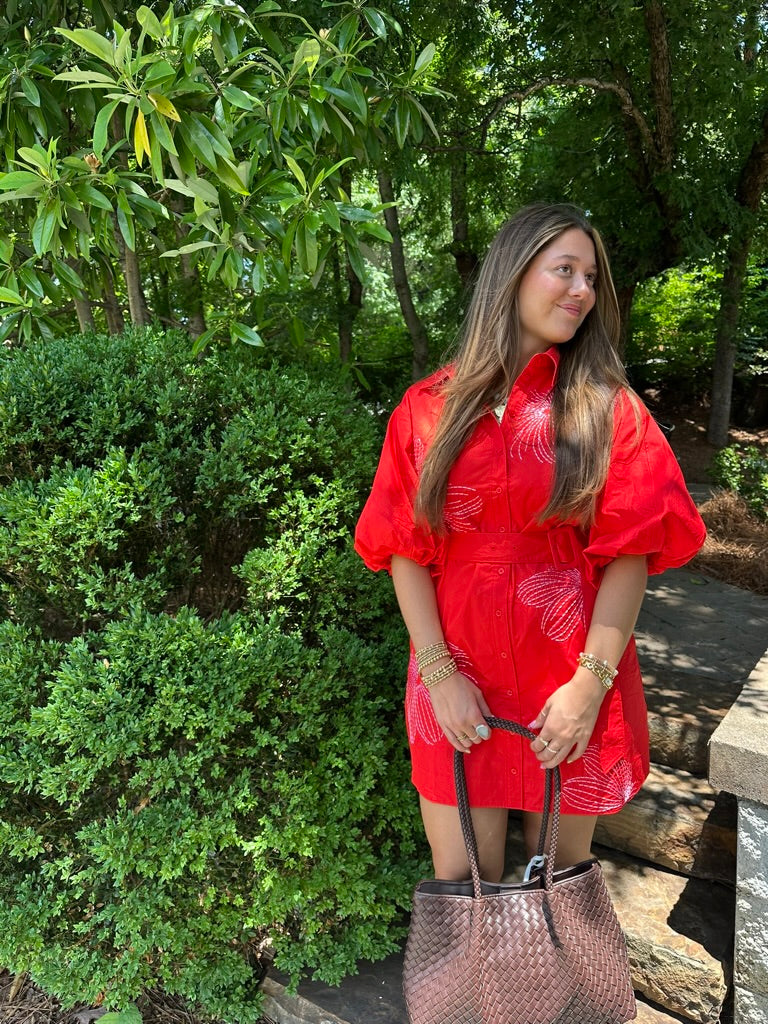 Scarlet Embroidered Dress