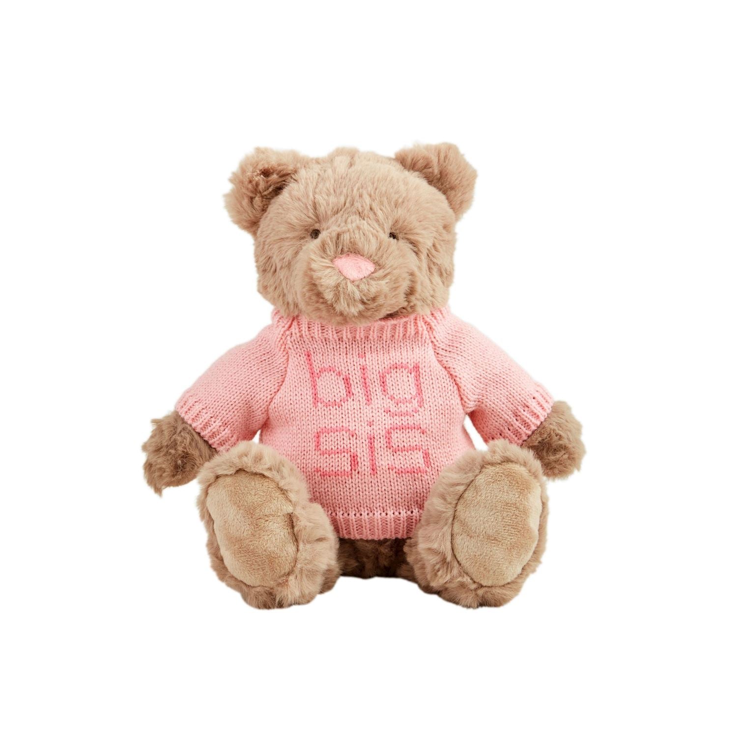 Big Sis & Big Bro Teddy Plush Pal