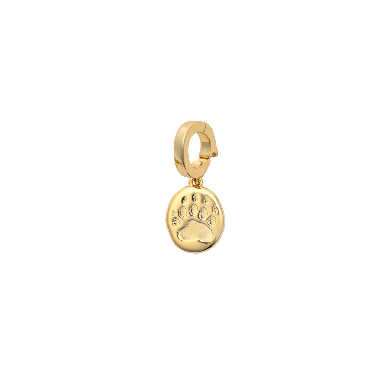 CAI | Gold Charms