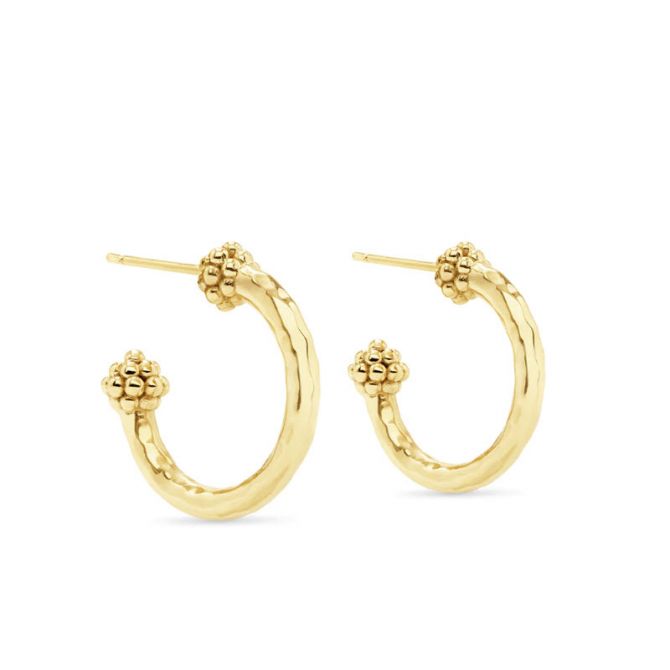 Berry Small Hoop Earrings in Hammered Gold