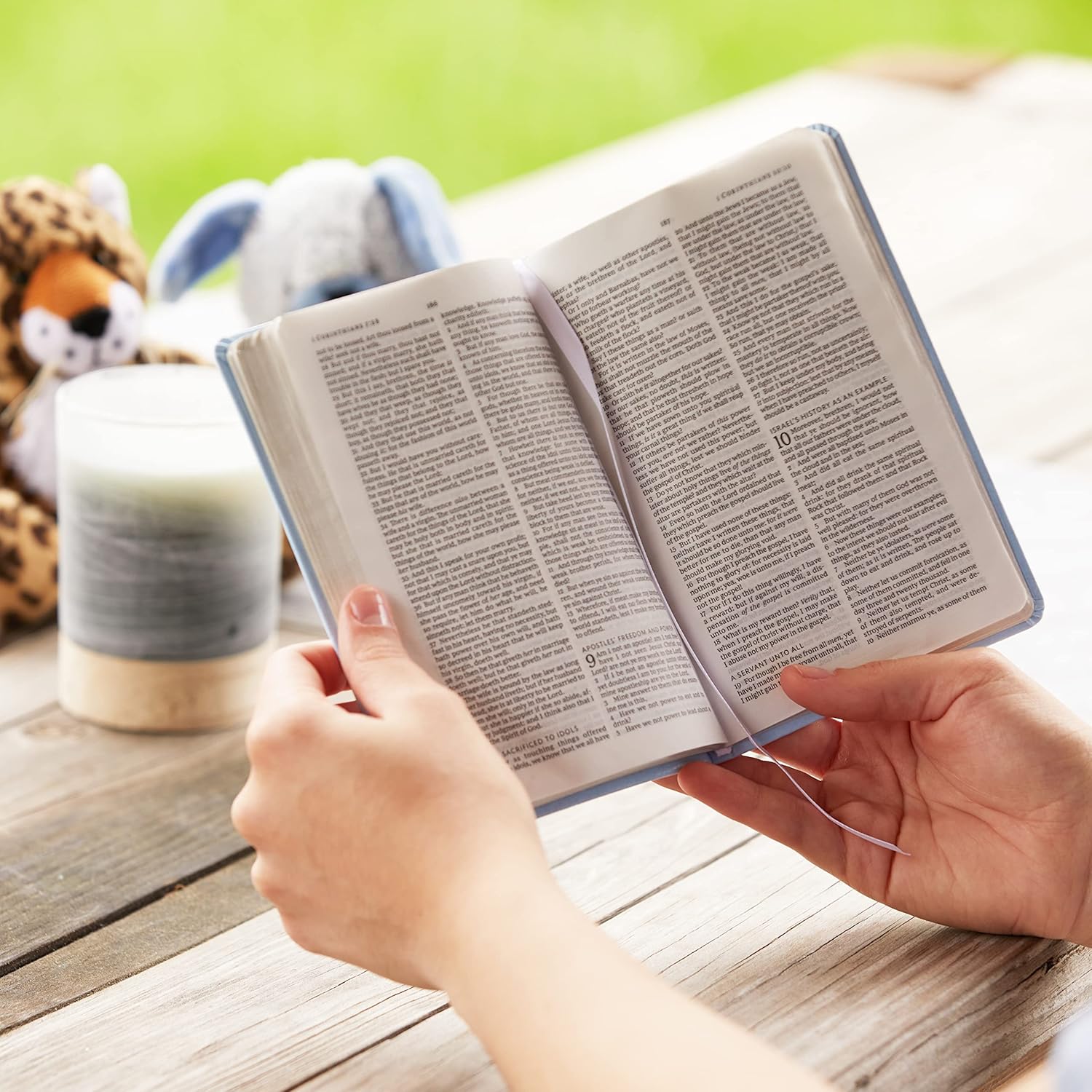 Baby's First Bible