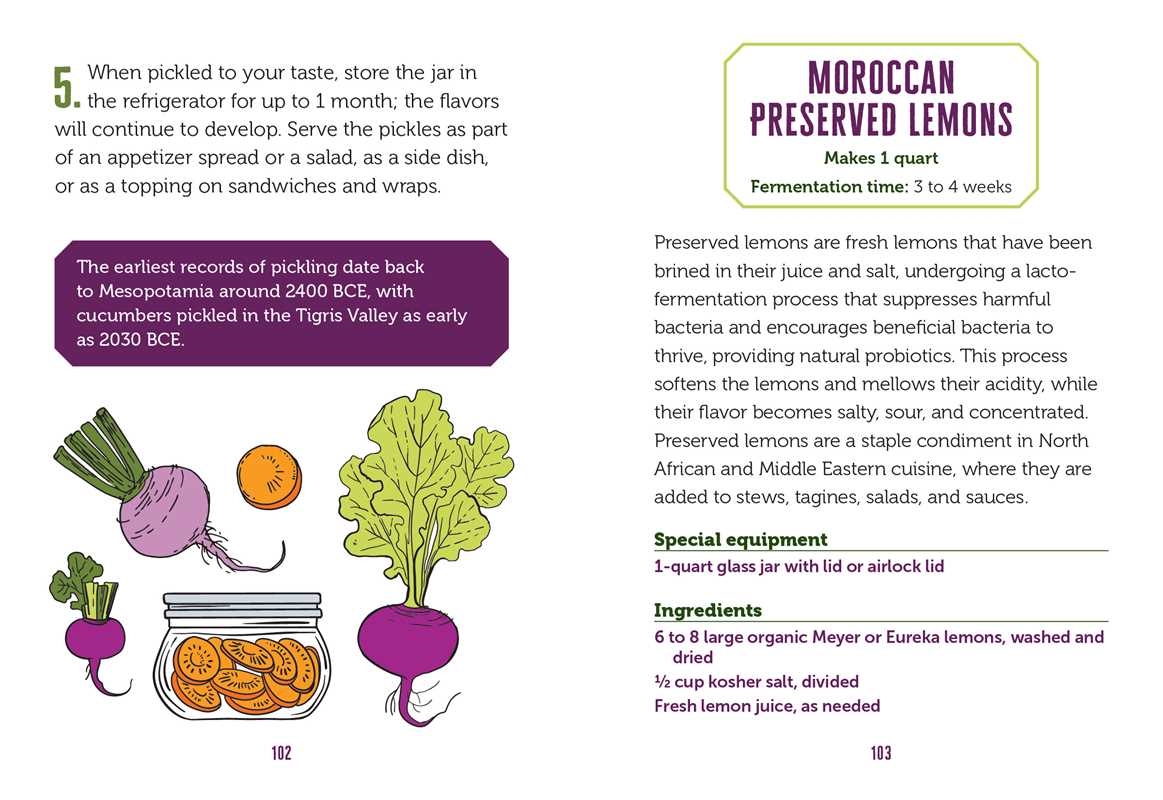Little Book of Fermented Foods by Lynda Balslev