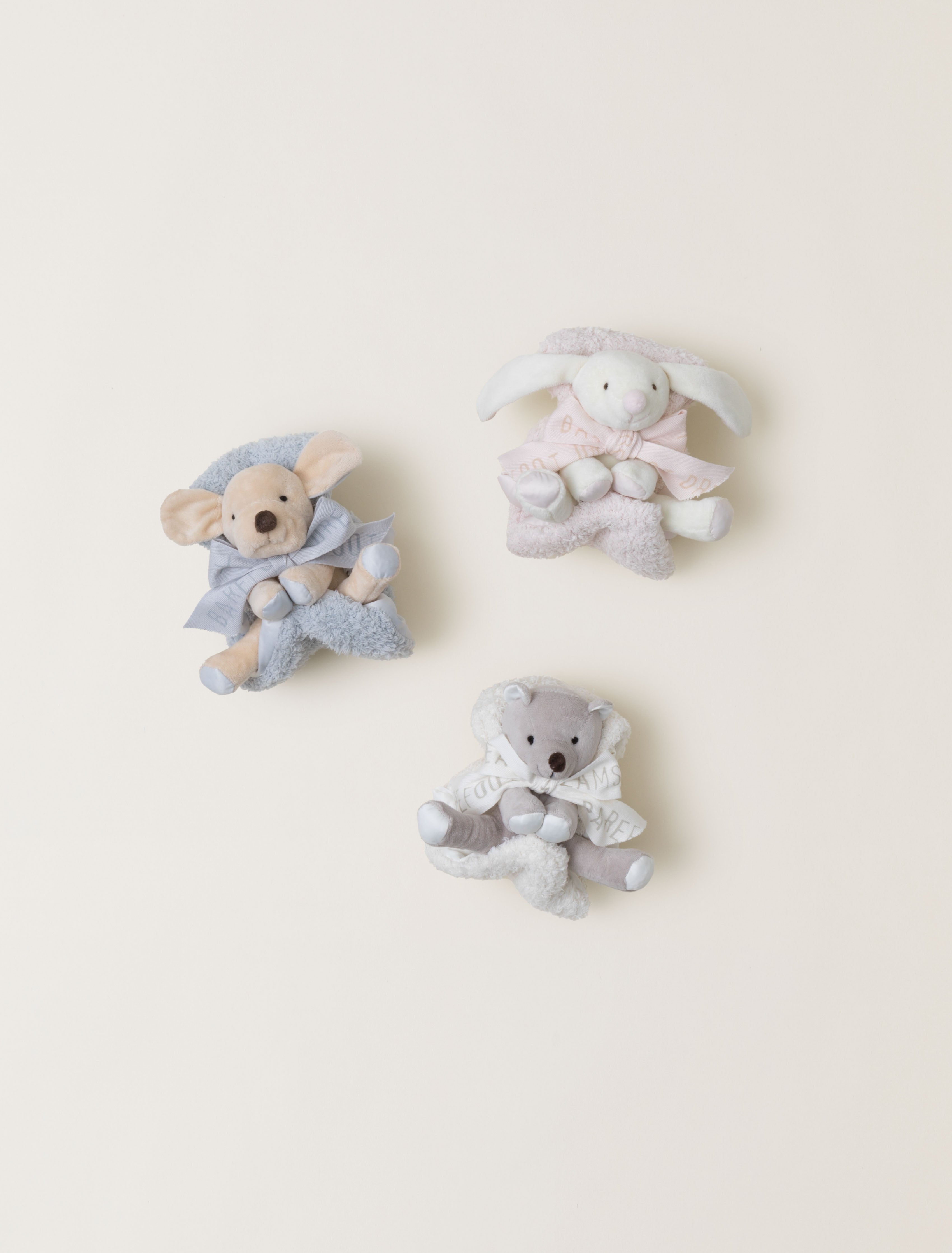 Barefoot Dreams | Barefoot Buddie