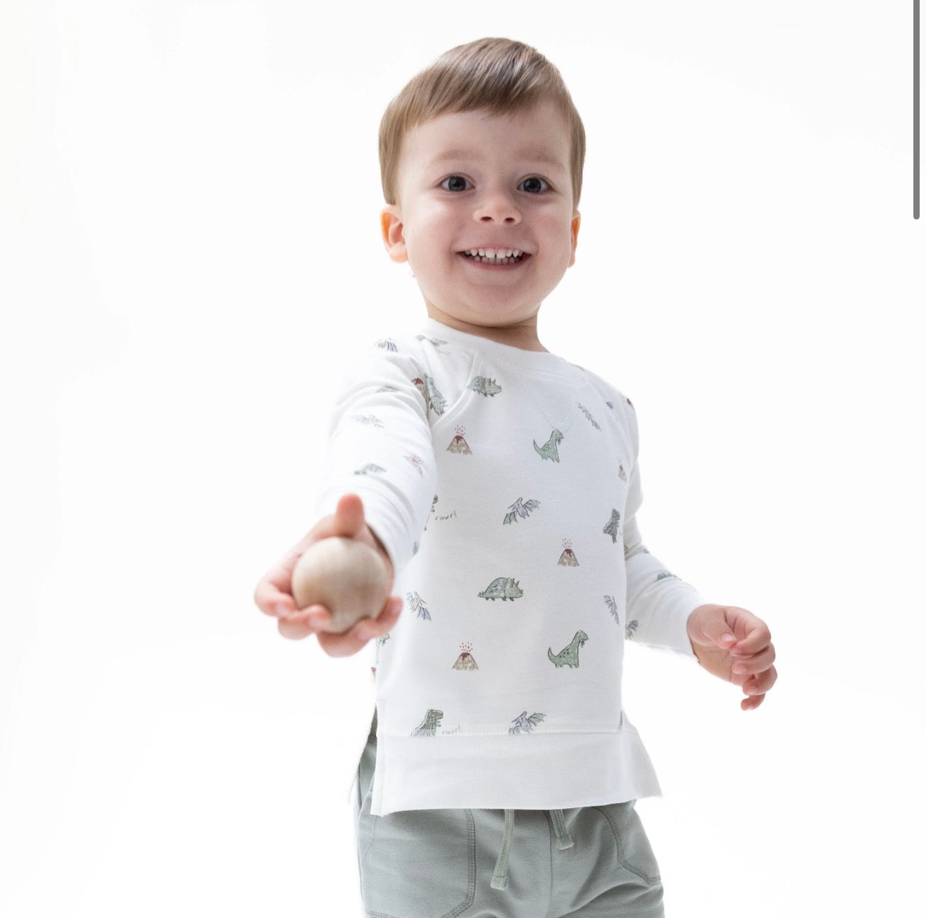 Dinos French Terry Raglan Sweatshirt