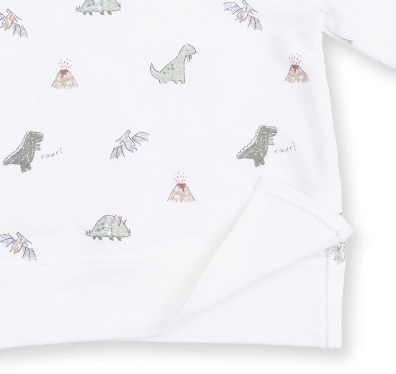 Dinos French Terry Raglan Sweatshirt