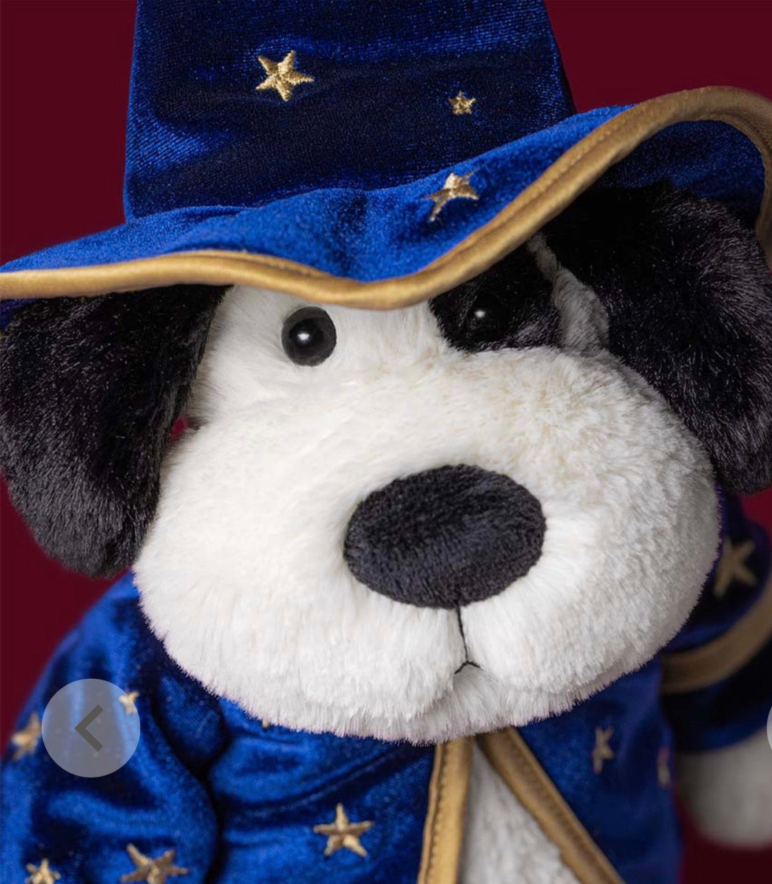RUFFERTY PUPPY WIZARD OUTFIT