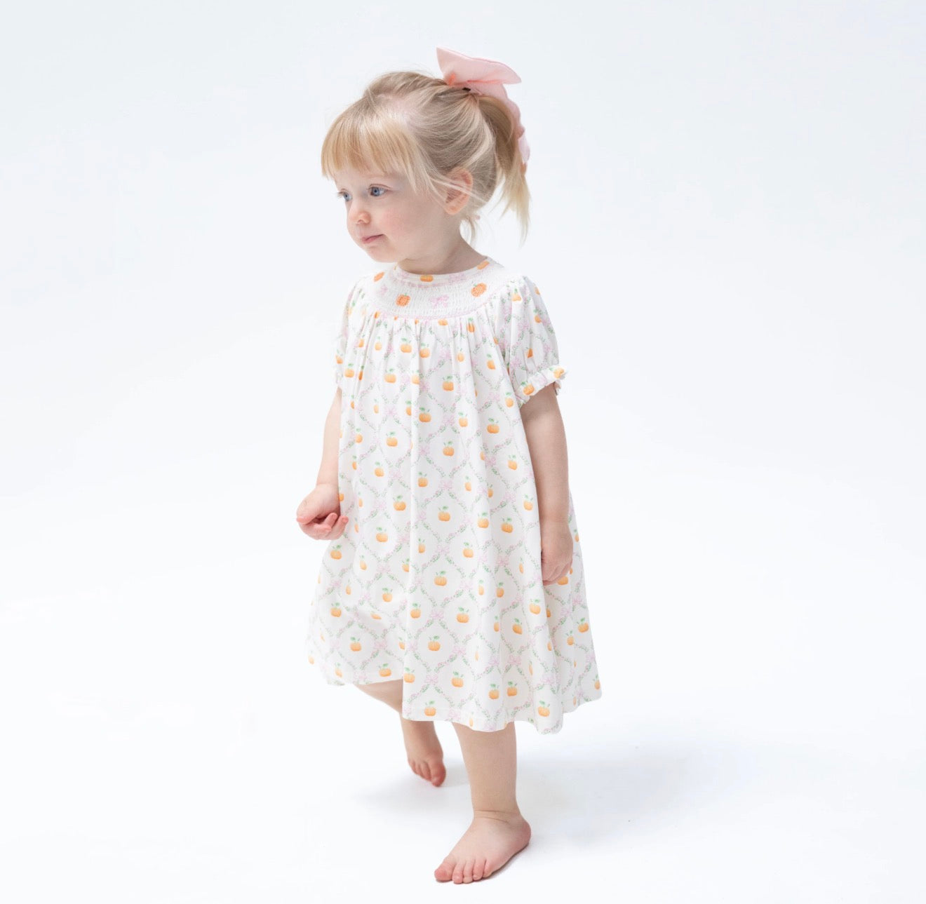 Pretty Pumpkin Trellis - Jane Puff Sleeve Bishop Dress & Bloomer