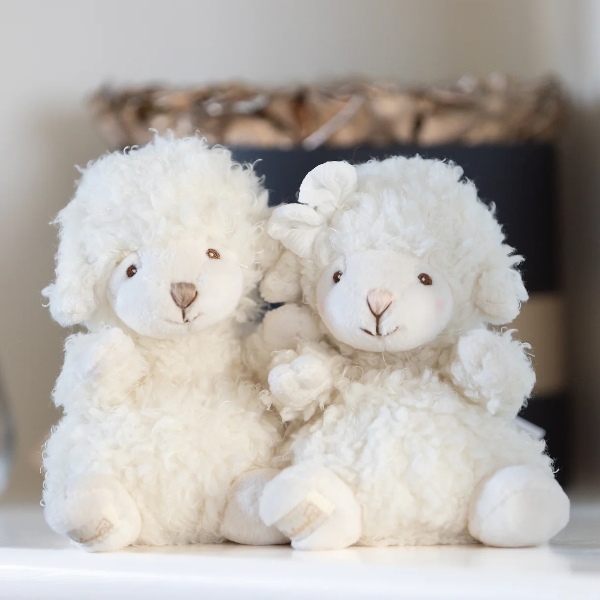 Bukowski Bears | Baby Mack Lamb