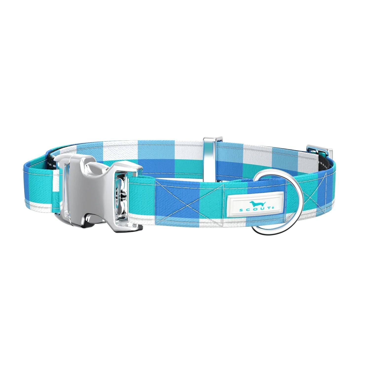 Scout | Dog Collar