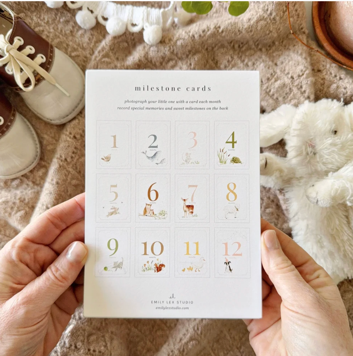 Baby Milestone Cards