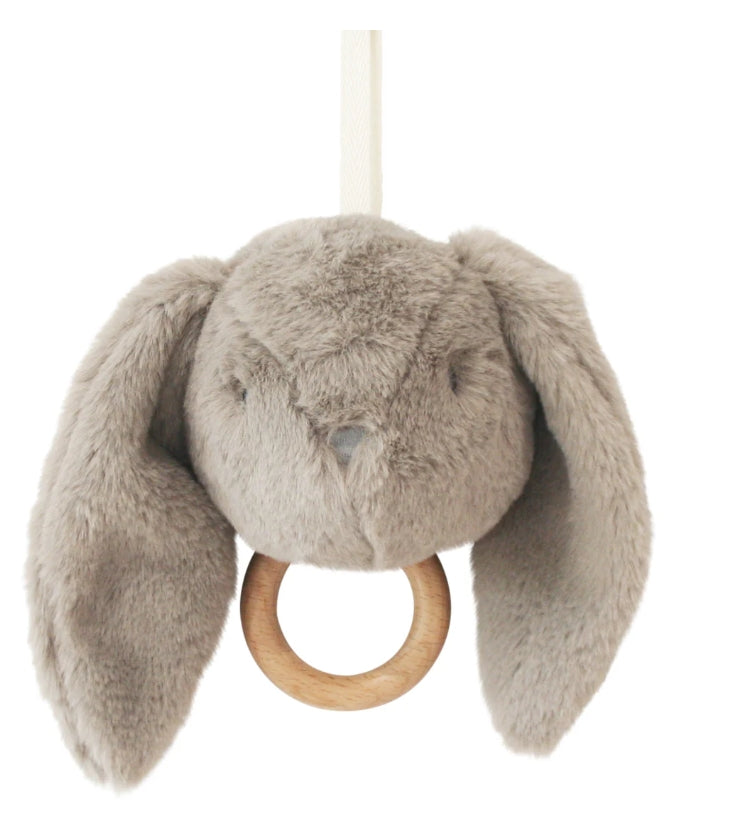 Darcey Bunny Musical