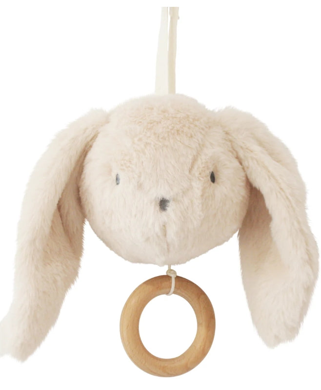 Darcey Bunny Musical