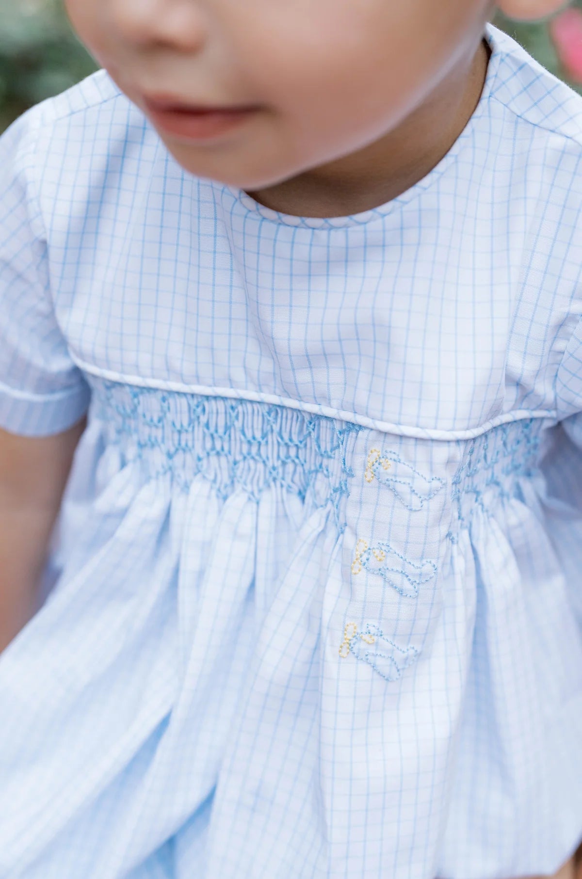 Hayes Bubble Classic Blue Windowpane