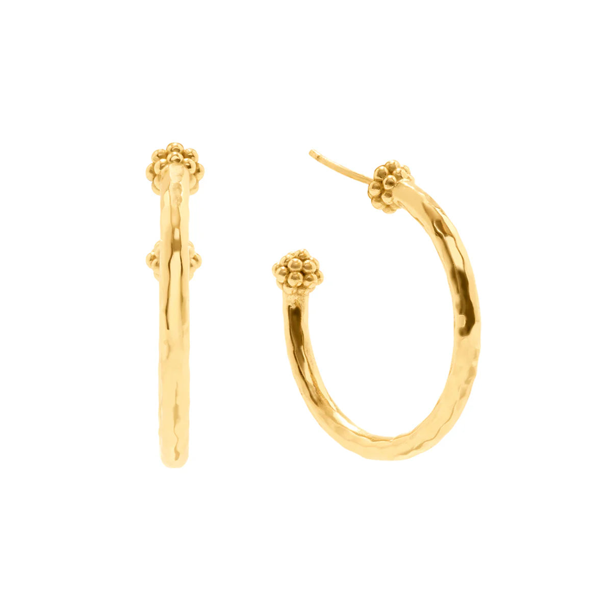 Berry Slice Medium Hoop Earrings - Gold