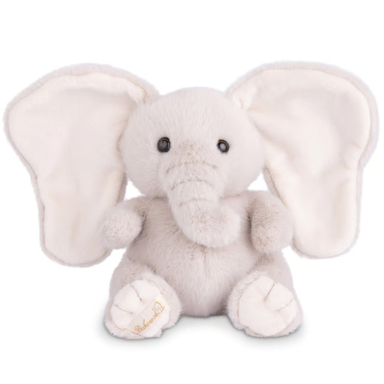 Baby August Elephant