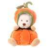 Bukowski Bears | Ziggy Pumpkin