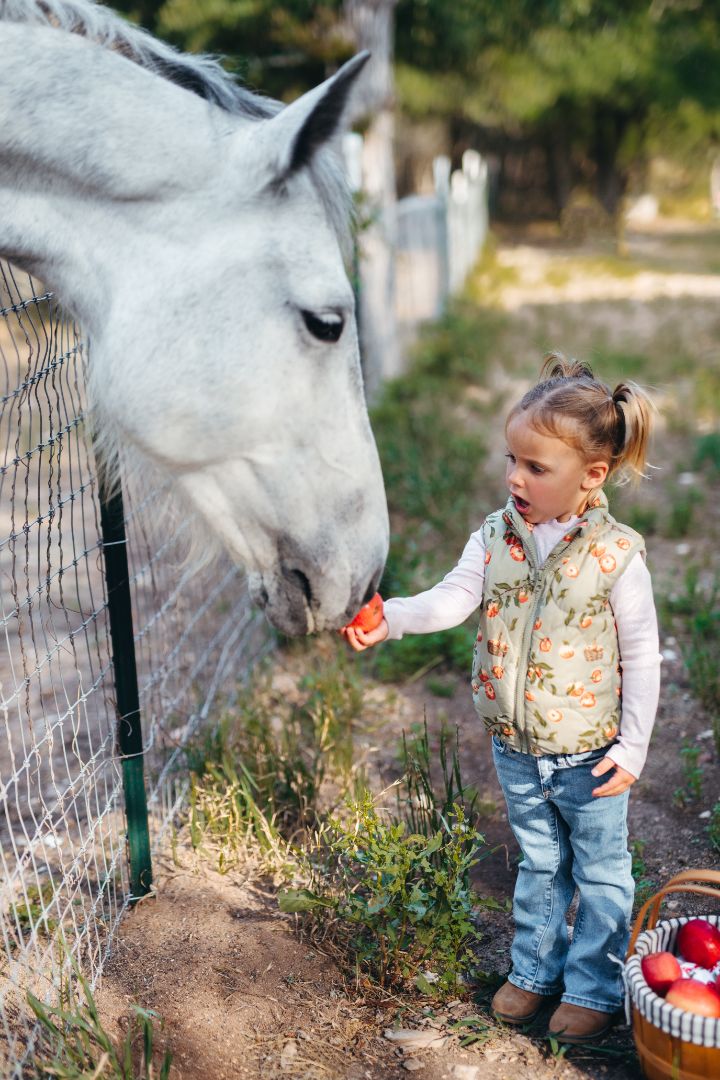 Milkbarn Lightweight Down Vest Apple Orchard