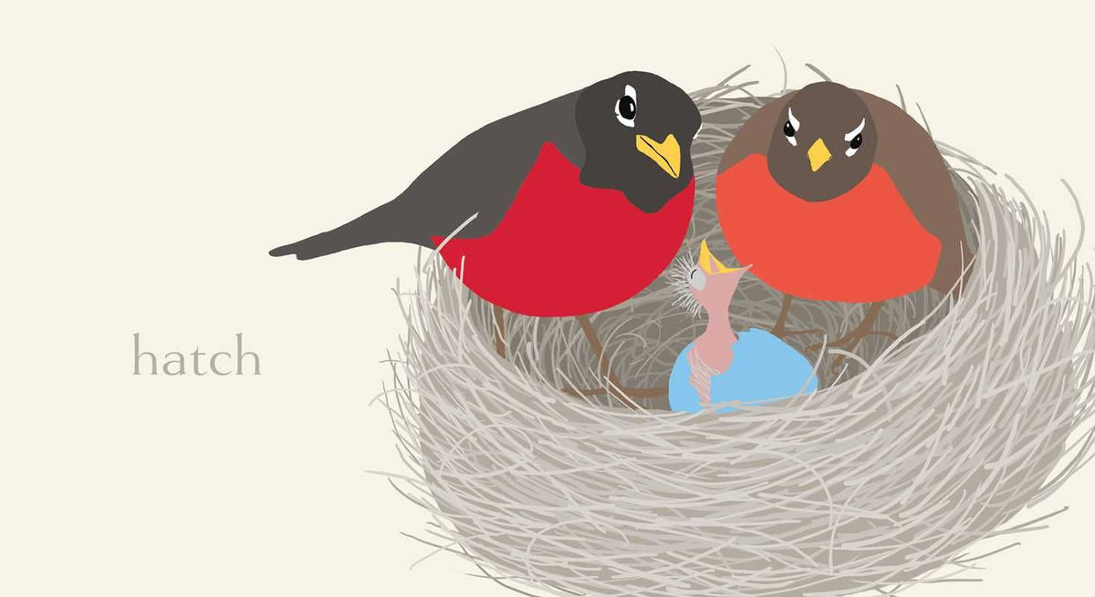Nest by Jorey Hurley