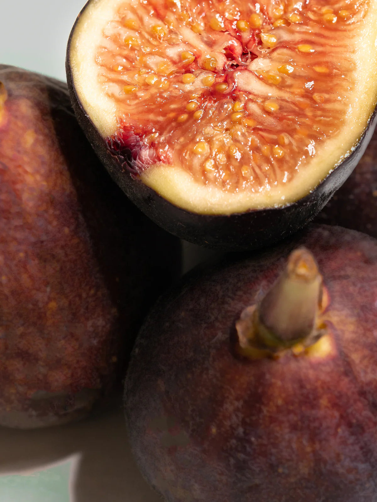 Pura | Brooklyn Candle Studio - Santorini