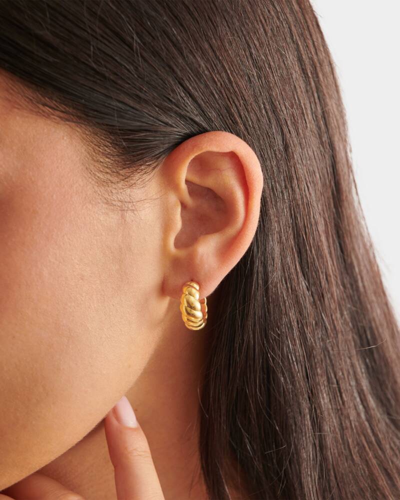 Harper Twist Hoop Earring
