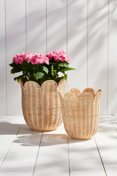 MudPie | Scallop Wicker Basket