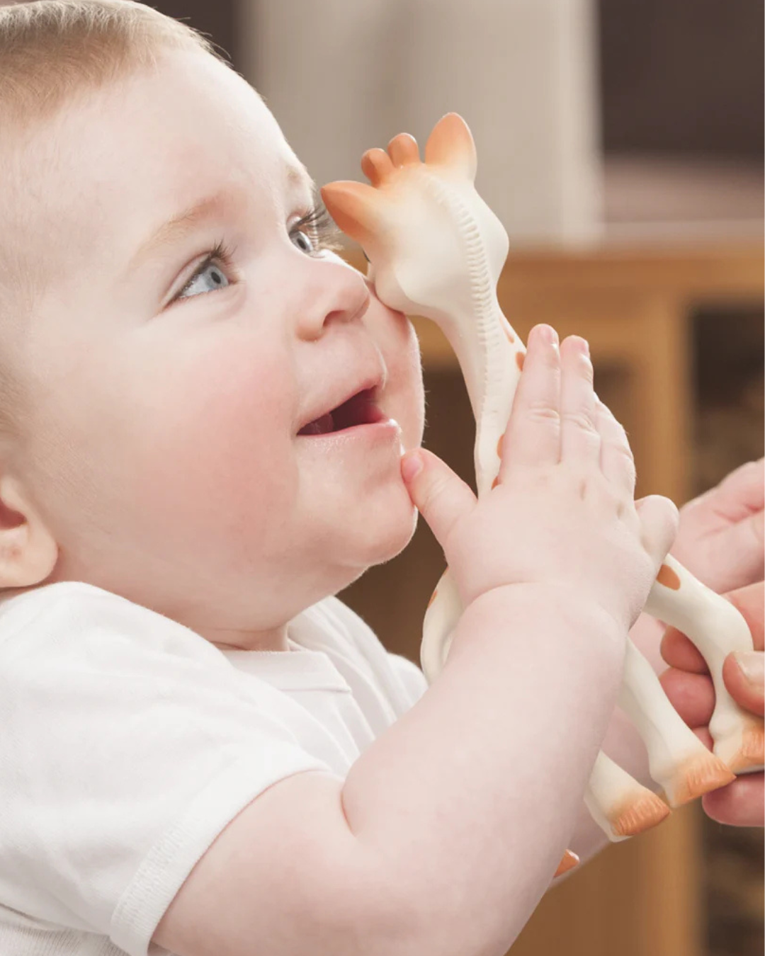 Teethers and Toys