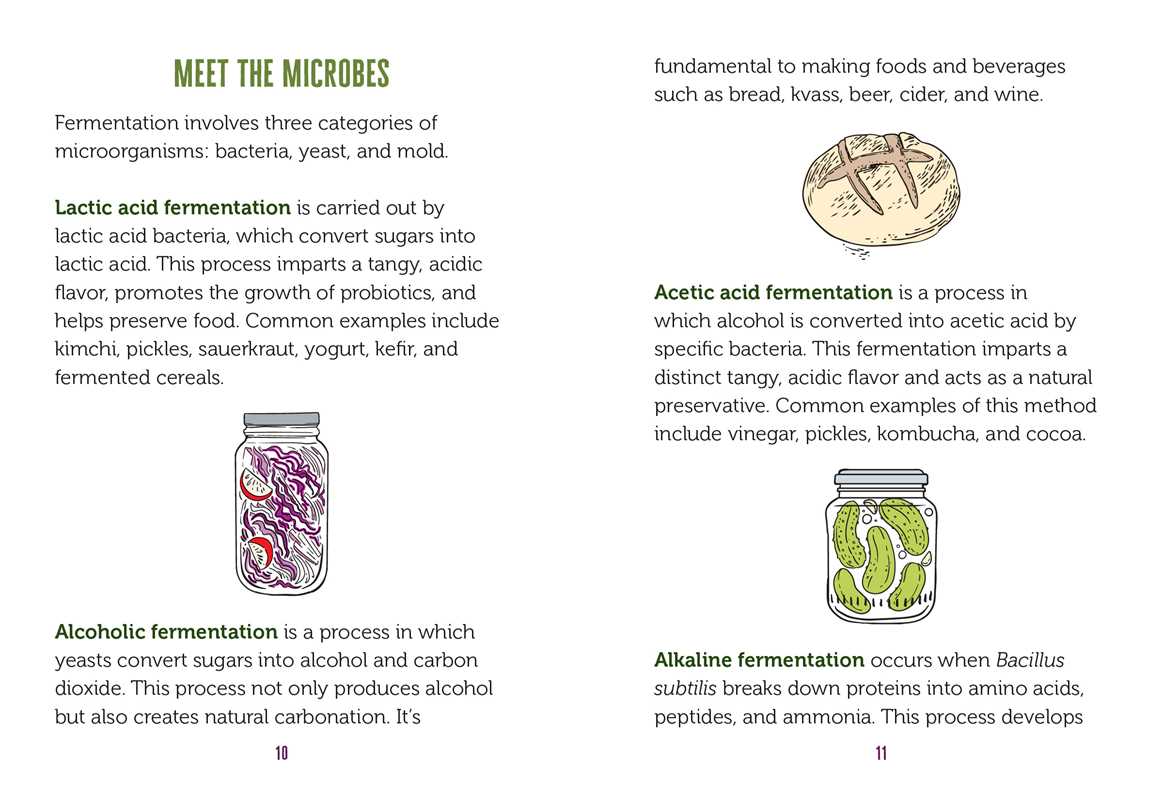 Little Book of Fermented Foods by Lynda Balslev
