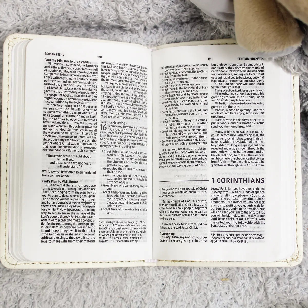 Tiny Testament Bible