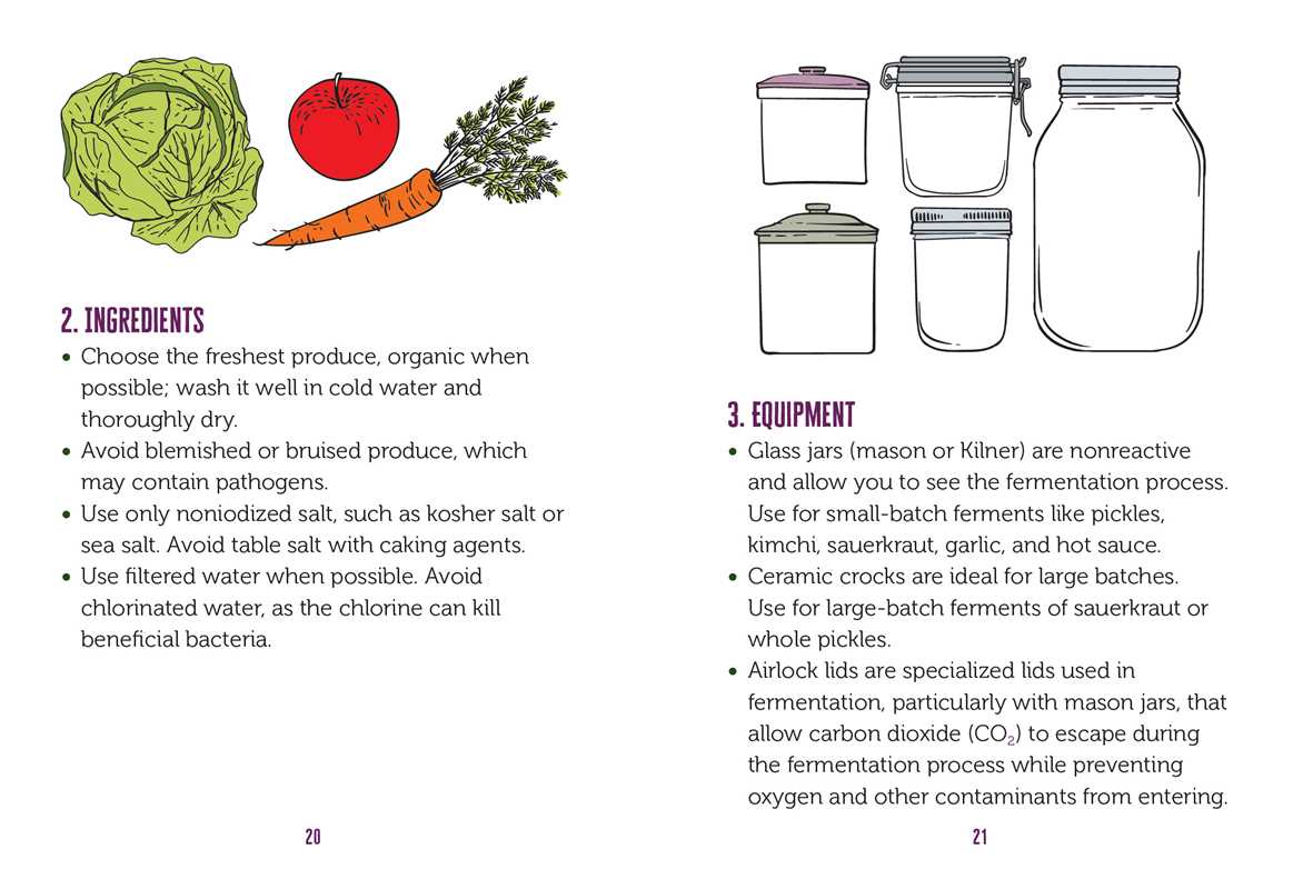 Little Book of Fermented Foods by Lynda Balslev