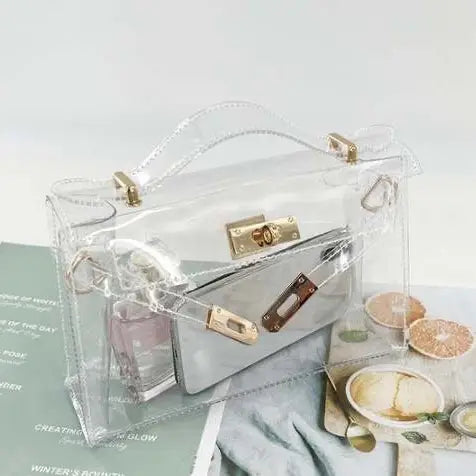 The Mini Andrea Clear Bag
