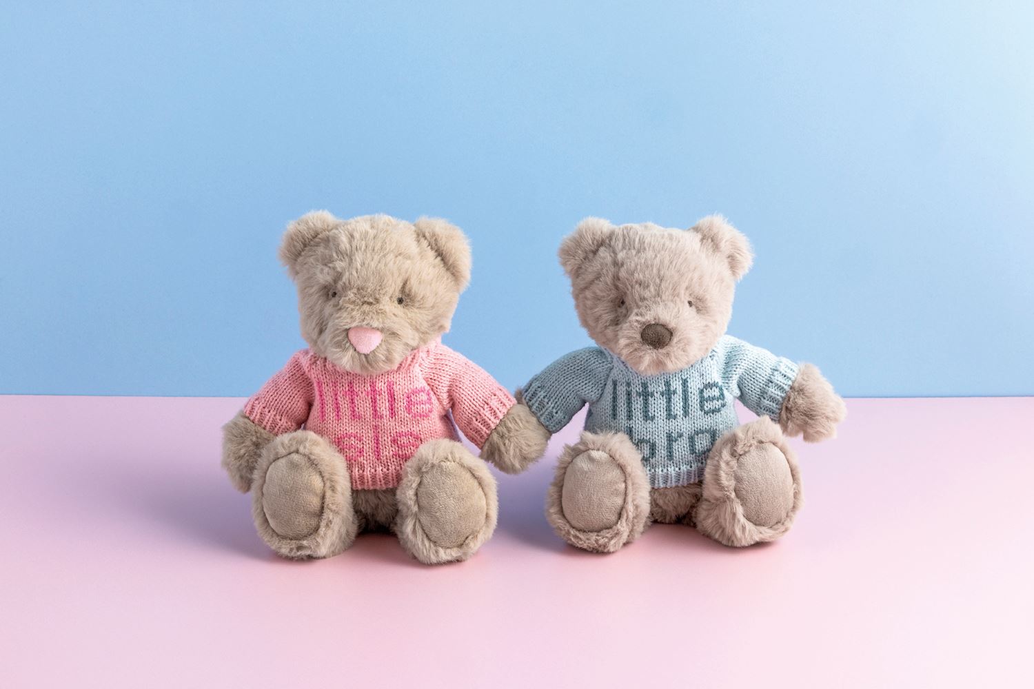 Little Sis & Little Bro Teddy Plush Pal