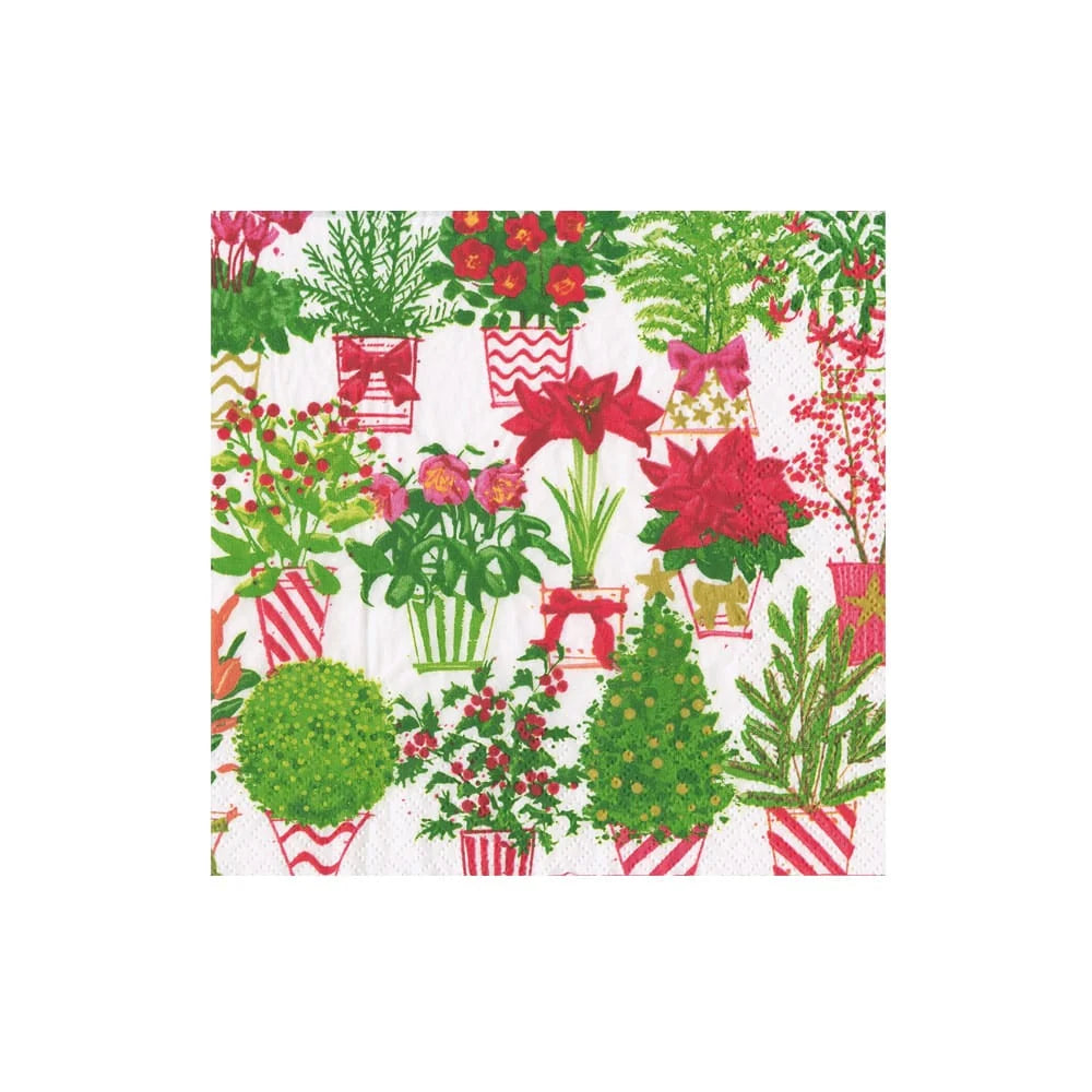 CHRISTMAS FLOWER MARKET COCKTAIL NAPKIN
