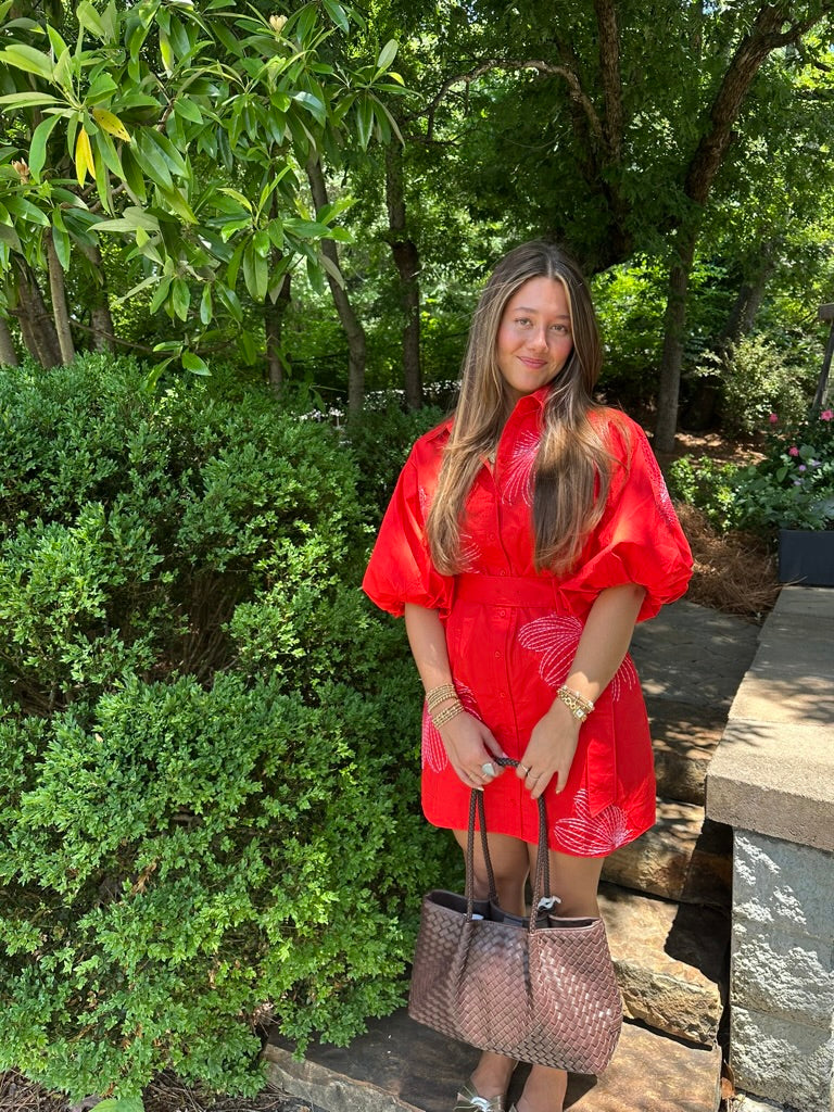 Scarlet Embroidered Dress