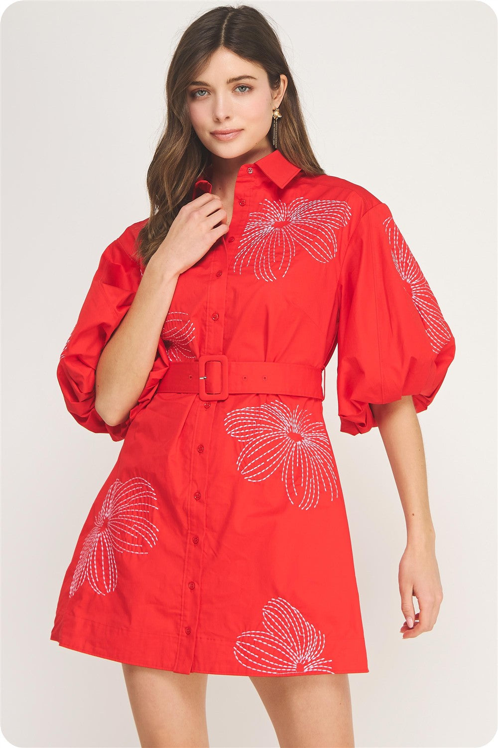 Scarlet Embroidered Dress