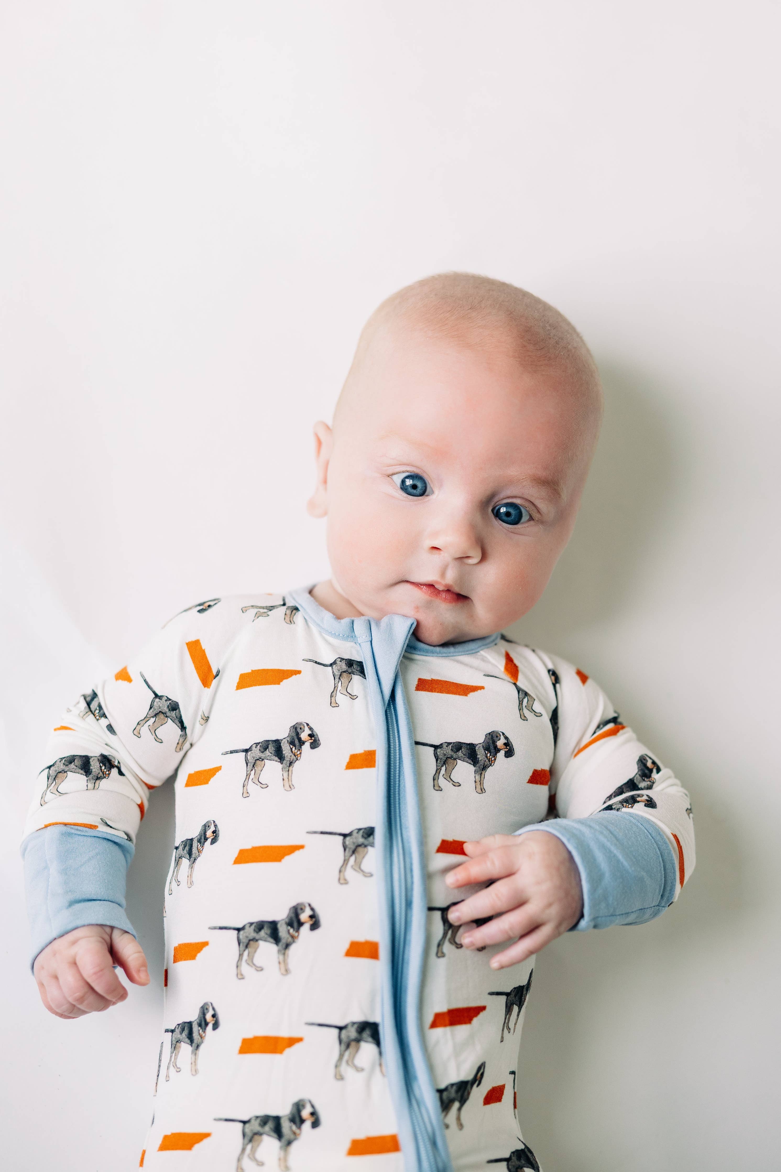 Bluetick Coonhound Tennessee Pajamas