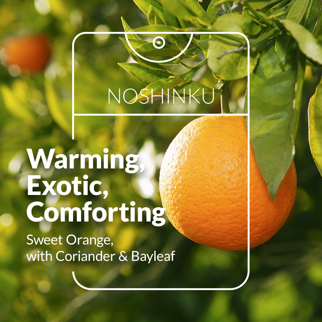 Orange Coriander Moisturizing Hand Sanitizer