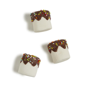 Sweet S'mores Vanilla Marshmellow Candy in Gift Bag