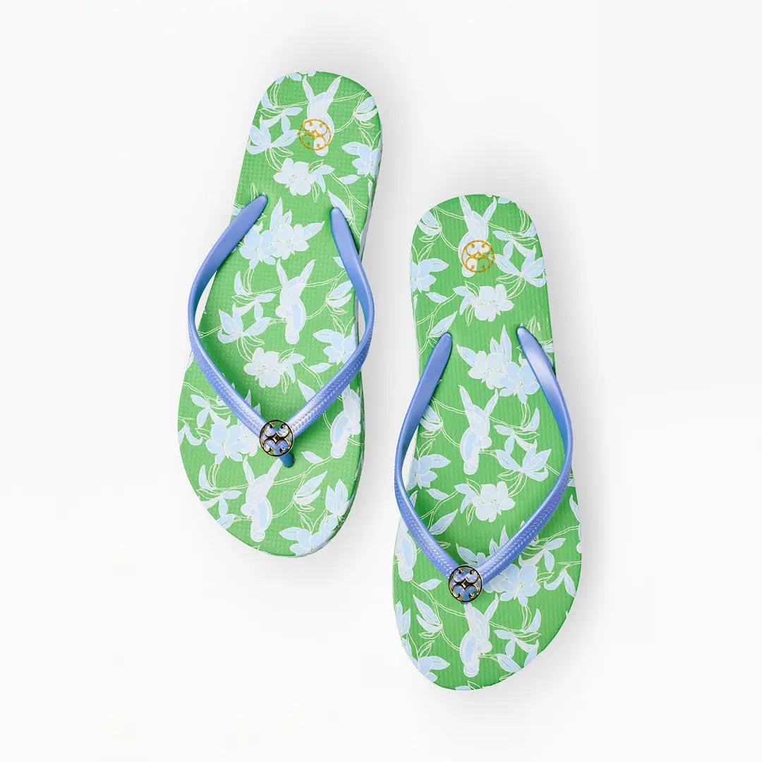 Flip Flop
