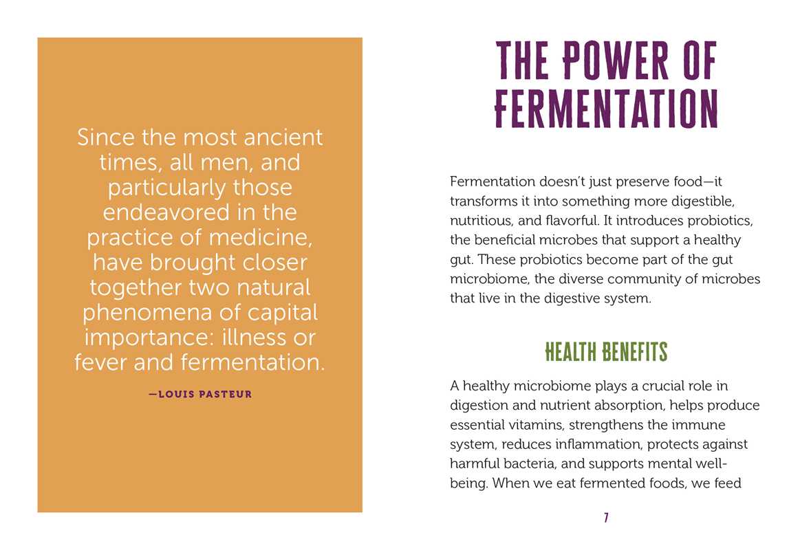Little Book of Fermented Foods by Lynda Balslev