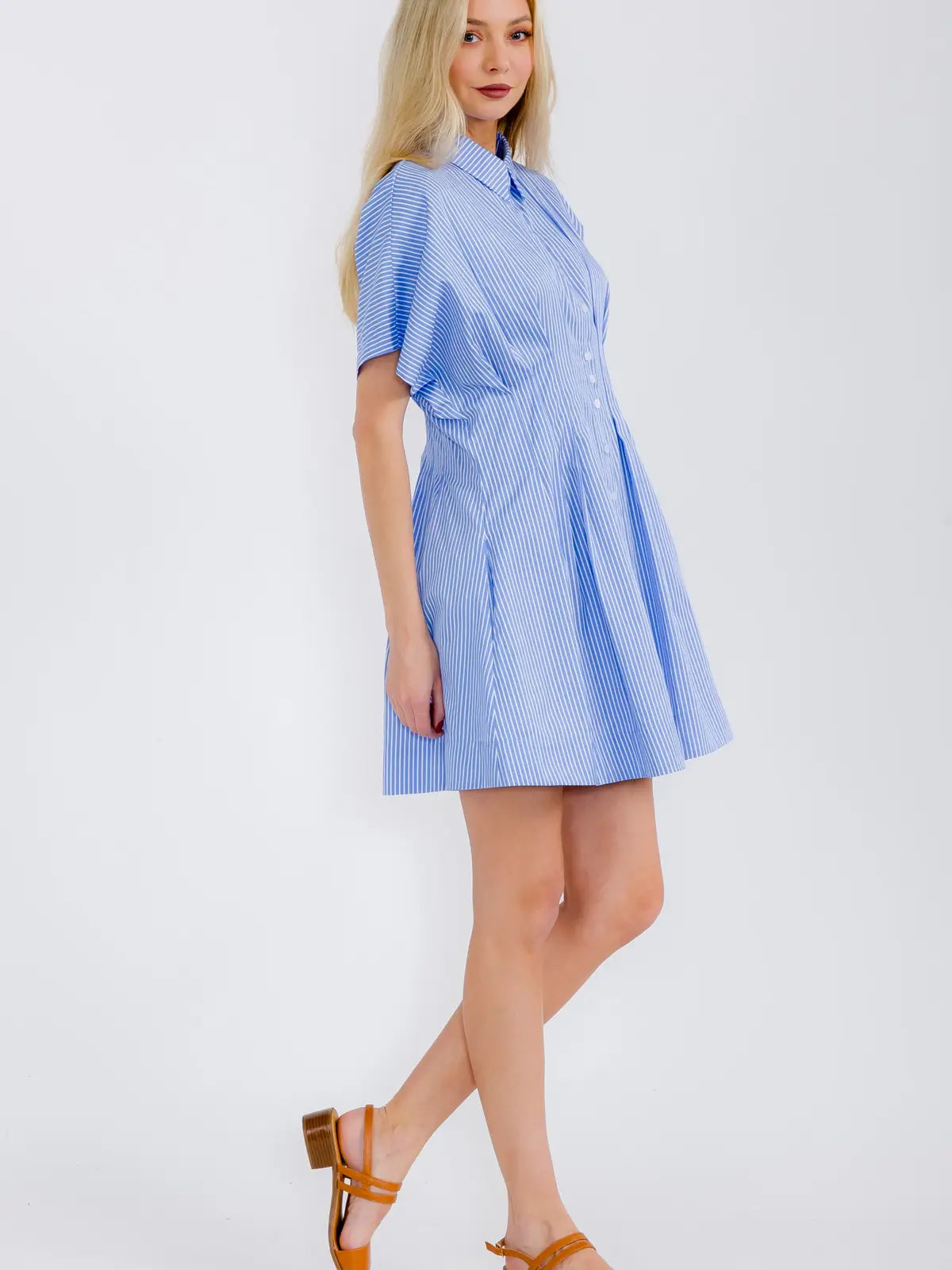 Robin Striped Dress