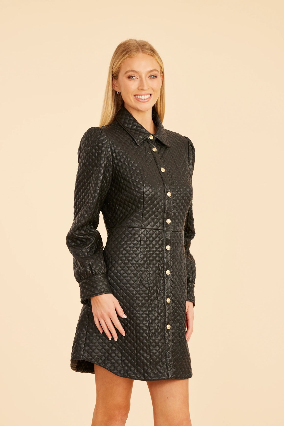 Dolce Cabo | Quilted Tailored Dress