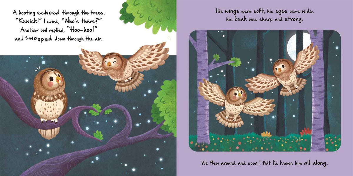 Nature Stories: Little Owl-Discover an Amazing Story from the Natural World by IglooBooks