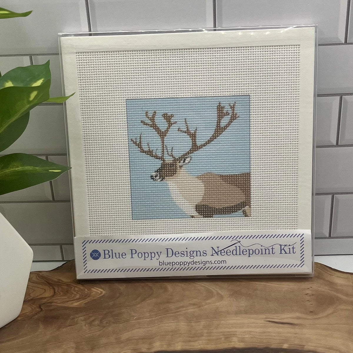 Holiday Needlepoint Kits 4" x 4"