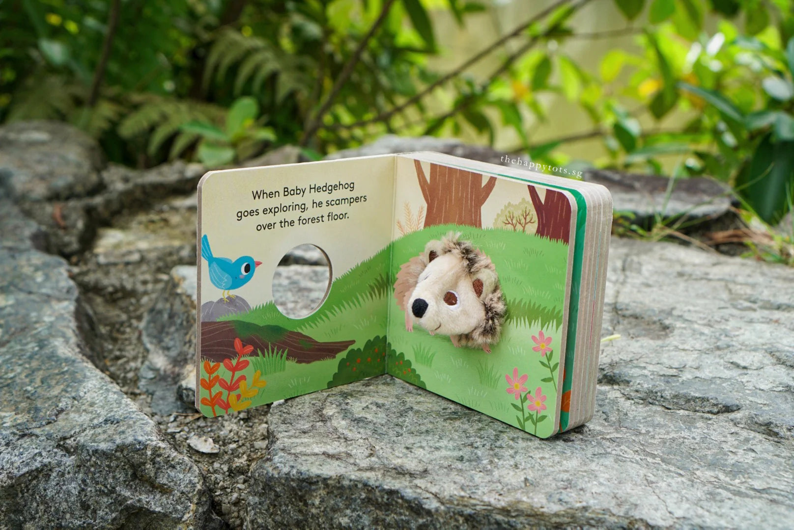 Baby Hedgehog Finger Puppet Book