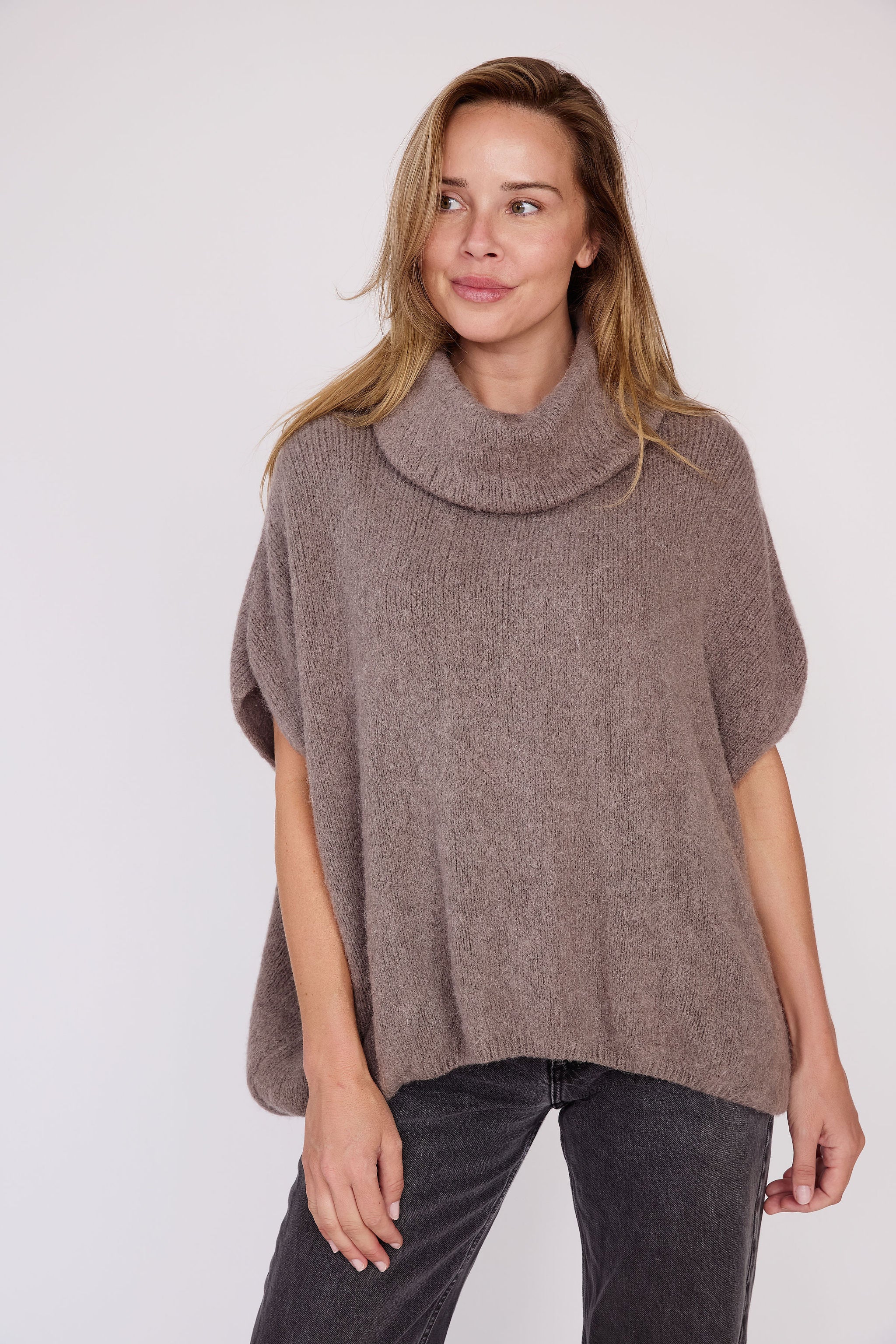 Francesa Short Sleeve Turtleneck Sweater
