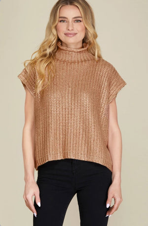 Frances Gold Metallic Short Sleeve Sweater