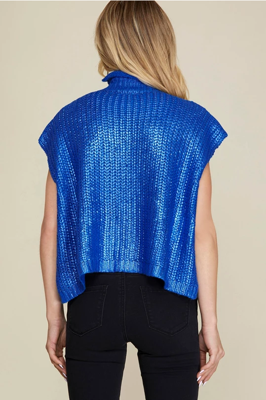 Frances Blue Metallic Short Sleeve Sweater