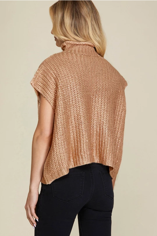 Frances Gold Metallic Short Sleeve Sweater