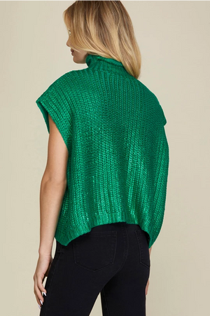 Frances Green Metallic Short Sleeve Sweater