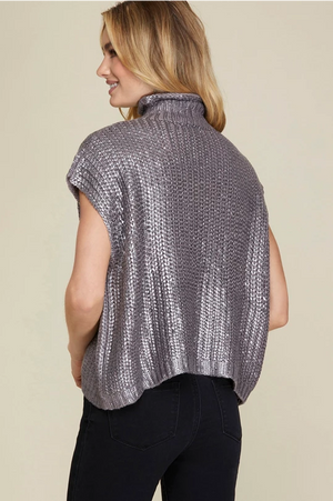 Frances Silver Metallic Short Sleeve Sweater